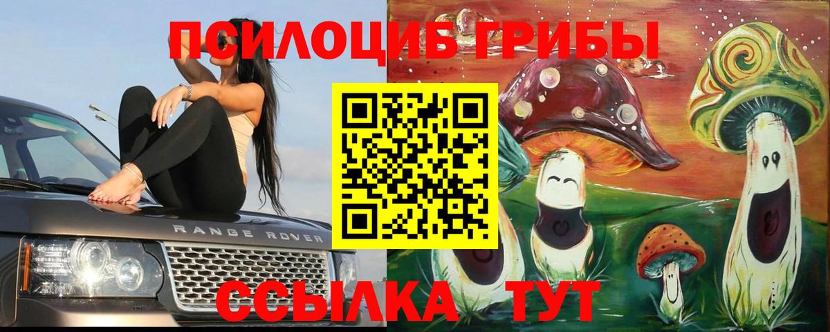 Псилоцибиновые грибы мицелий Сочи