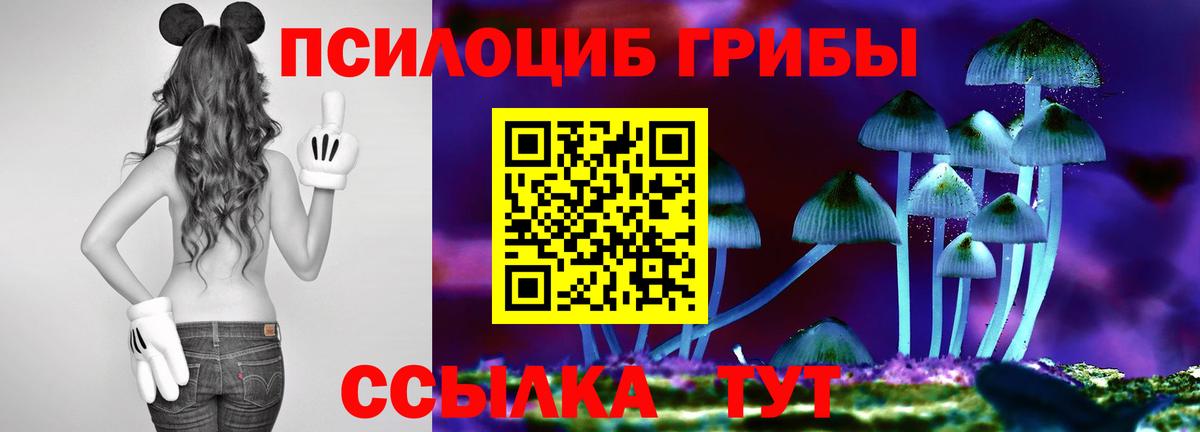 Псилоцибиновые грибы мухоморы  Вход с VPN  Псилоцибиновые грибы ЛСД  Сочи 